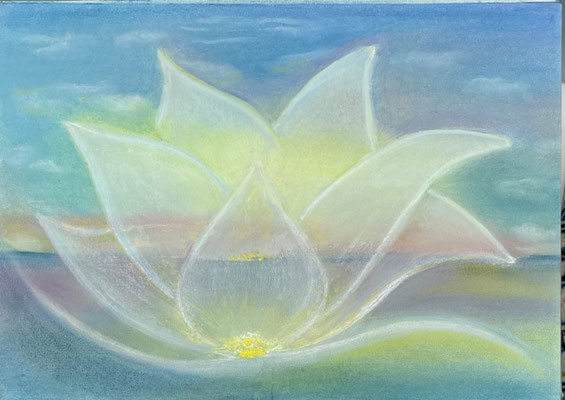 Blume der Schöpfung