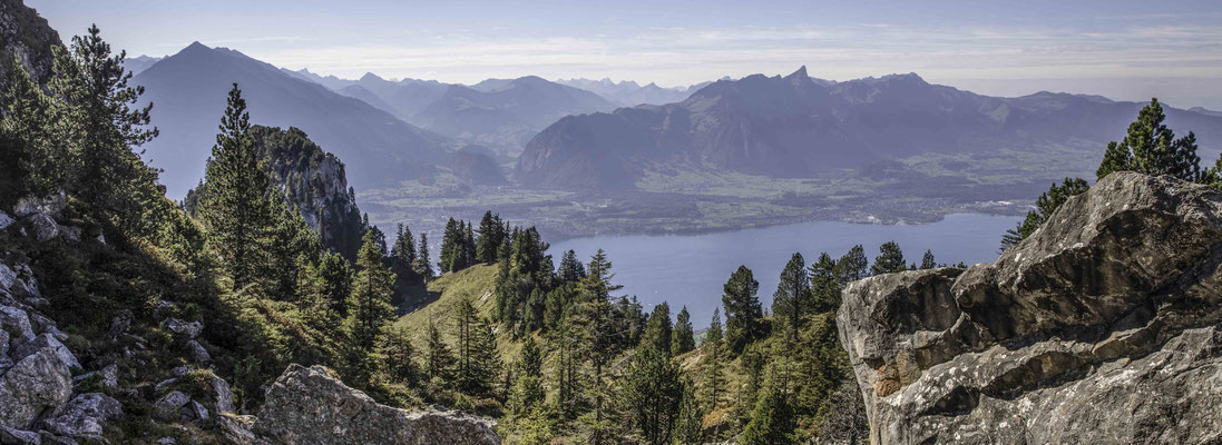 Blick vom Oberbärgli zur Stockhornkette