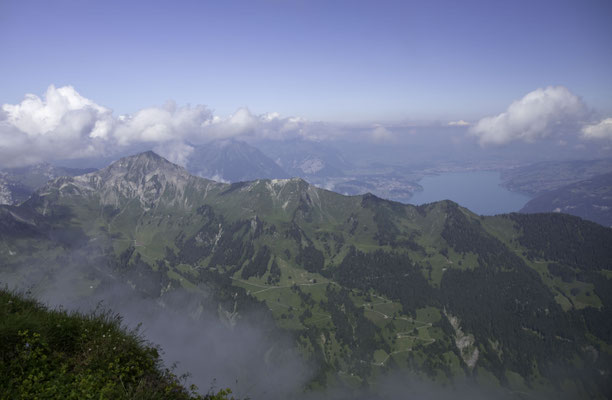 Auf der Höji Sulegg