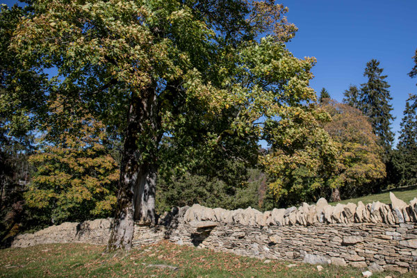 Renovierte historische Tockenmauer 