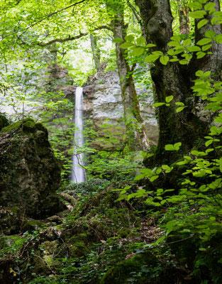 Und plötzlich sieht man durch die Blätter den Ruisseau de Vaux der über eine Felswand stürzt