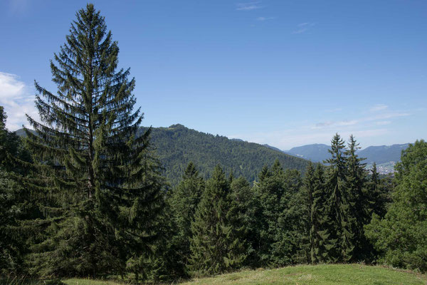 Letzter Rastplatz vor der Eibe von Cremines