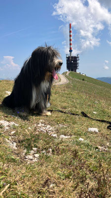 Chasseral