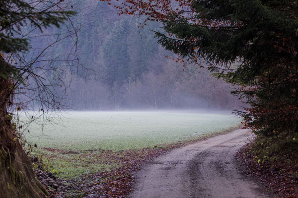 Unterwegs im Schwarzwassergraben