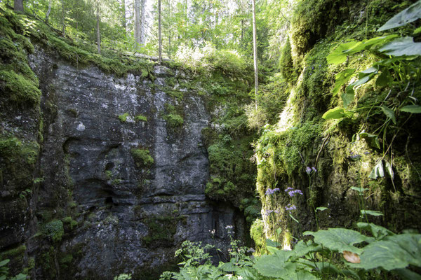 Glacière de Monlési