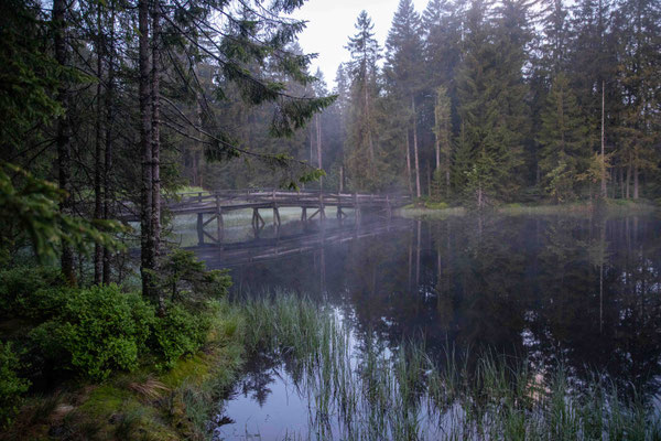 Etang de la Gruére