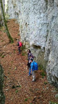 In der Waldschlucht (Foto Nathalie Meyer)