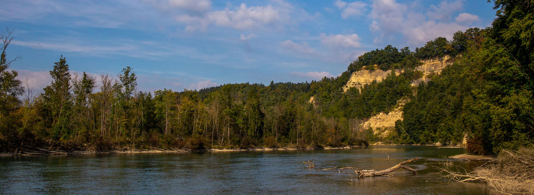 An der Aare bei Insleren