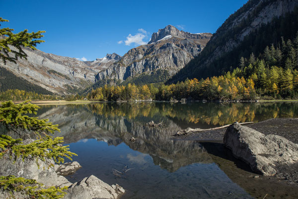 Der Lac de Derborence entstand im jahre 1749 durch einen Bergsturz. Er ist der jüngste natürliche Bergsee in den Schweizer Alpen.