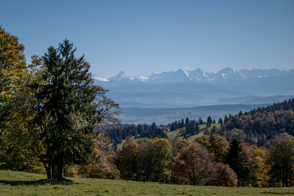 Sicht vom Place Centrale in Les Pres-d' Orvin zu den Berner Alpen