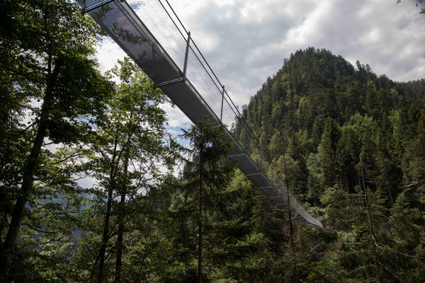 Hängebrücke Leiternweidli Simmental