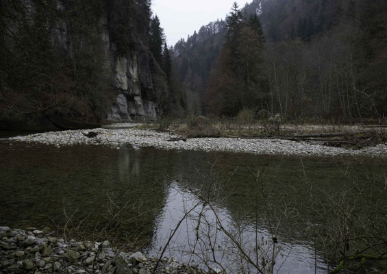 Naturparadies Steiglenau