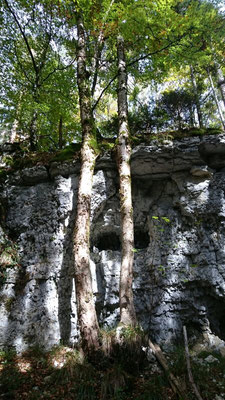 Die unbekannte Waldschlucht von Cremines (Foto Nathalie Meyer)