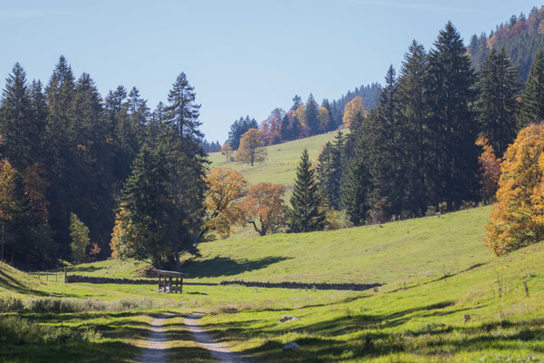 Seitental im Naturpark Chasseral