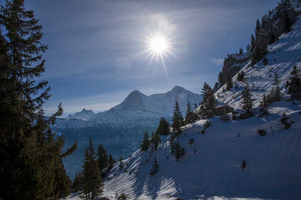 Morgenstimmung bei der Alp Suls