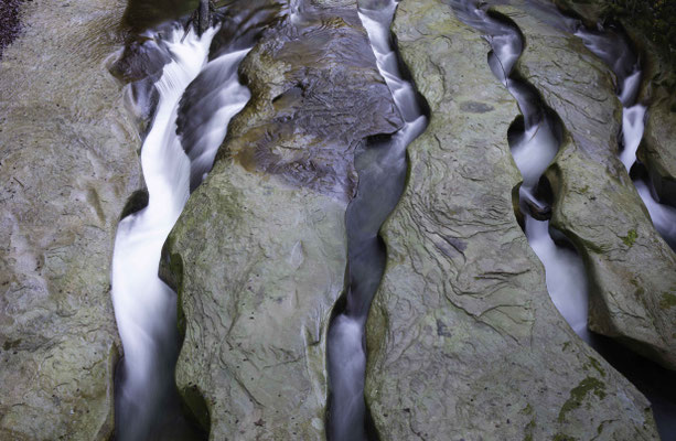 Kunstwerk der Natur unter der Schwarzwasserbrücke