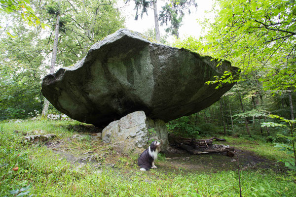 Der Holestein liegt oberhalb von Twann am Bielersee. Er war  im Altertum vermutlich ein Kultplatz, oder Opferplatz. Auf der Oberseite existieren bearbeitete Flächen.