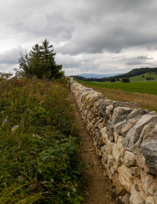 Alte Juramauer auf der Wandfluh