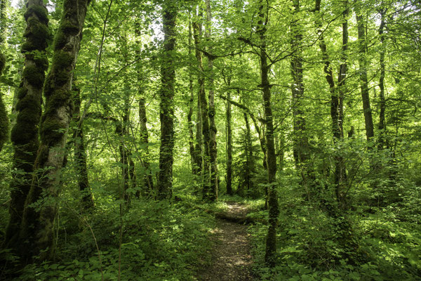 in der Nähe des Bief de Vautanaivre