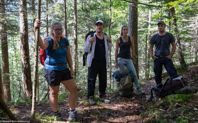 Meine Gäste waren gespannt auf das Abenteuer Waldschlucht