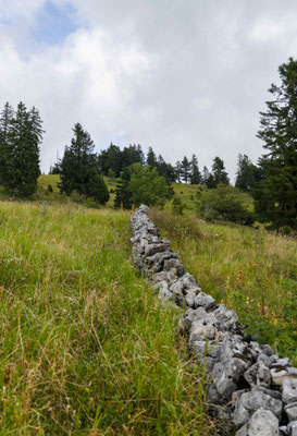 Auf dem Bettlachstock