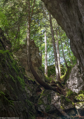 Hier ist die Natur noch frei