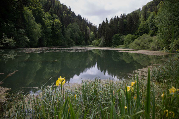 Der Etang de Bollement