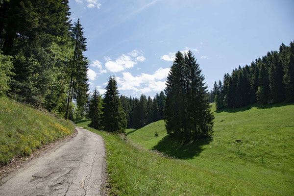 Unterwegs zum nächsten Etang