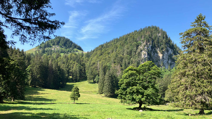 Pré aux Auges
