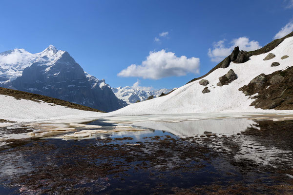 Das Hornseewli in der Nähe von Grindelwald ist vielfach noch Mitte Juni von Schnee und Eis bedeckt.