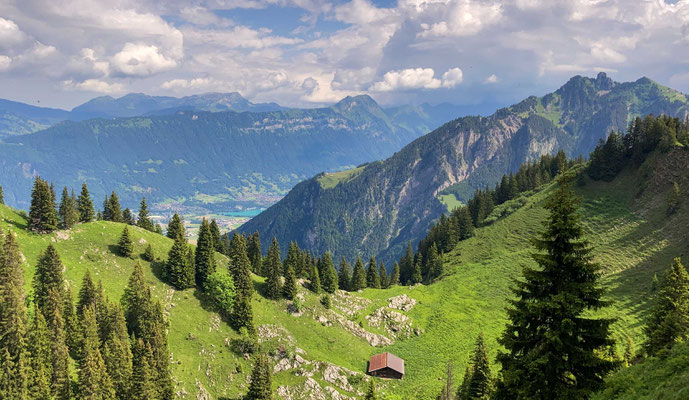 Blick vom Vreneli hinunter auf den Brienzersee