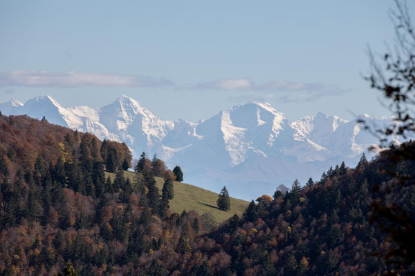 Auch bei Cledar de Pierrefeu sieht man die Berner Alpen