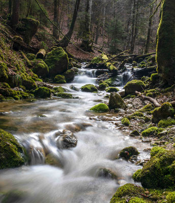 Le Ruisseau du Breuil