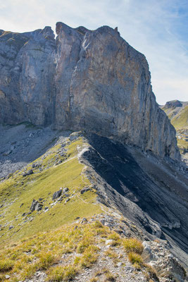 Das Schwarzgrätli