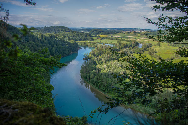 Blick von der Runtigenfluh auf die Saanemündung