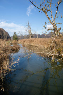 In der Oltigenmatt