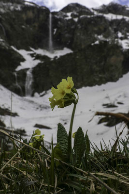 Frühling beim Geltenschuss