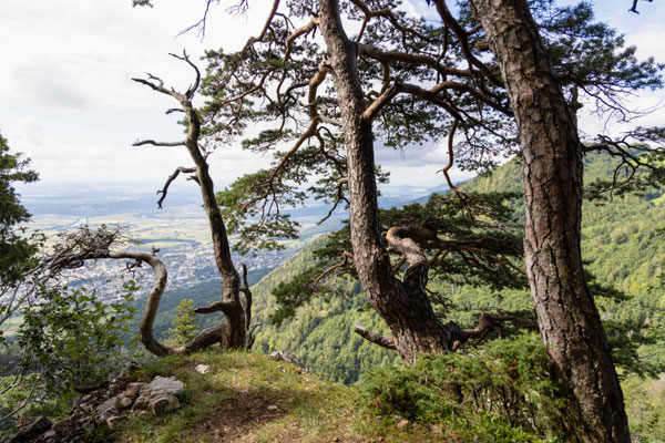 Unterwegs mit Sicht auf Grenchen und den Bielersee im Hitergrund