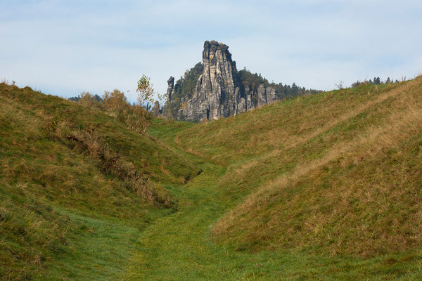 Feldsteinwiese mit kleiner Gans