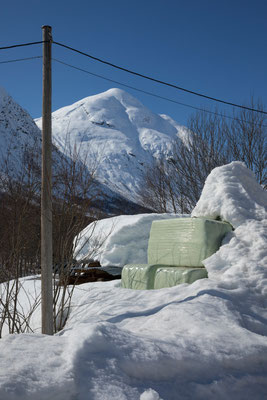 Snøtun, Krundalen