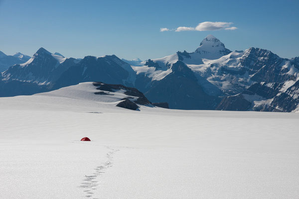 Lyell-Icefield mit Mt Forbes, Rocky Mountains, Kanada