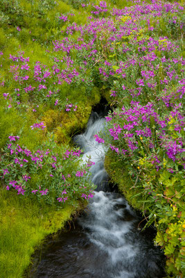 Qunnersuaq, Disko