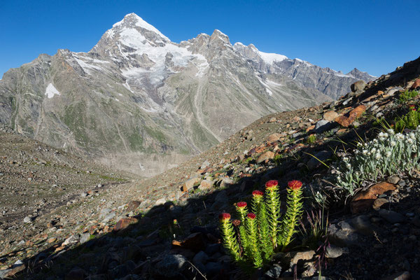 Pyramid Peak, Parvati, Indien