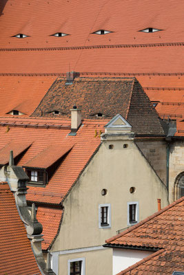 Pirna: Stadtkirche St. Marien