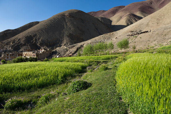 Rumbak, Ladakh