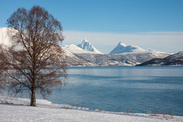 Balsfjord, Piggtind, Troms, Norwegen
