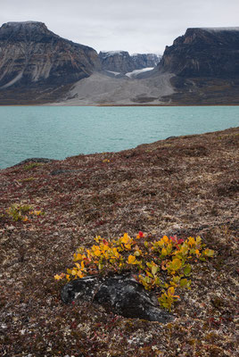 Sarqap Taserssua, Nussuaq