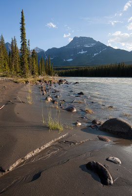 Athabasca River, Jasper-NP, Kanada