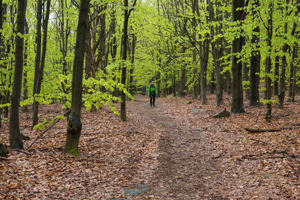 železná cesta, Ostrov