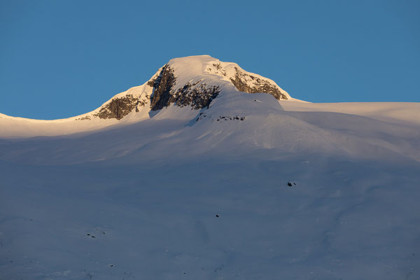 Hesten im Leirdalen